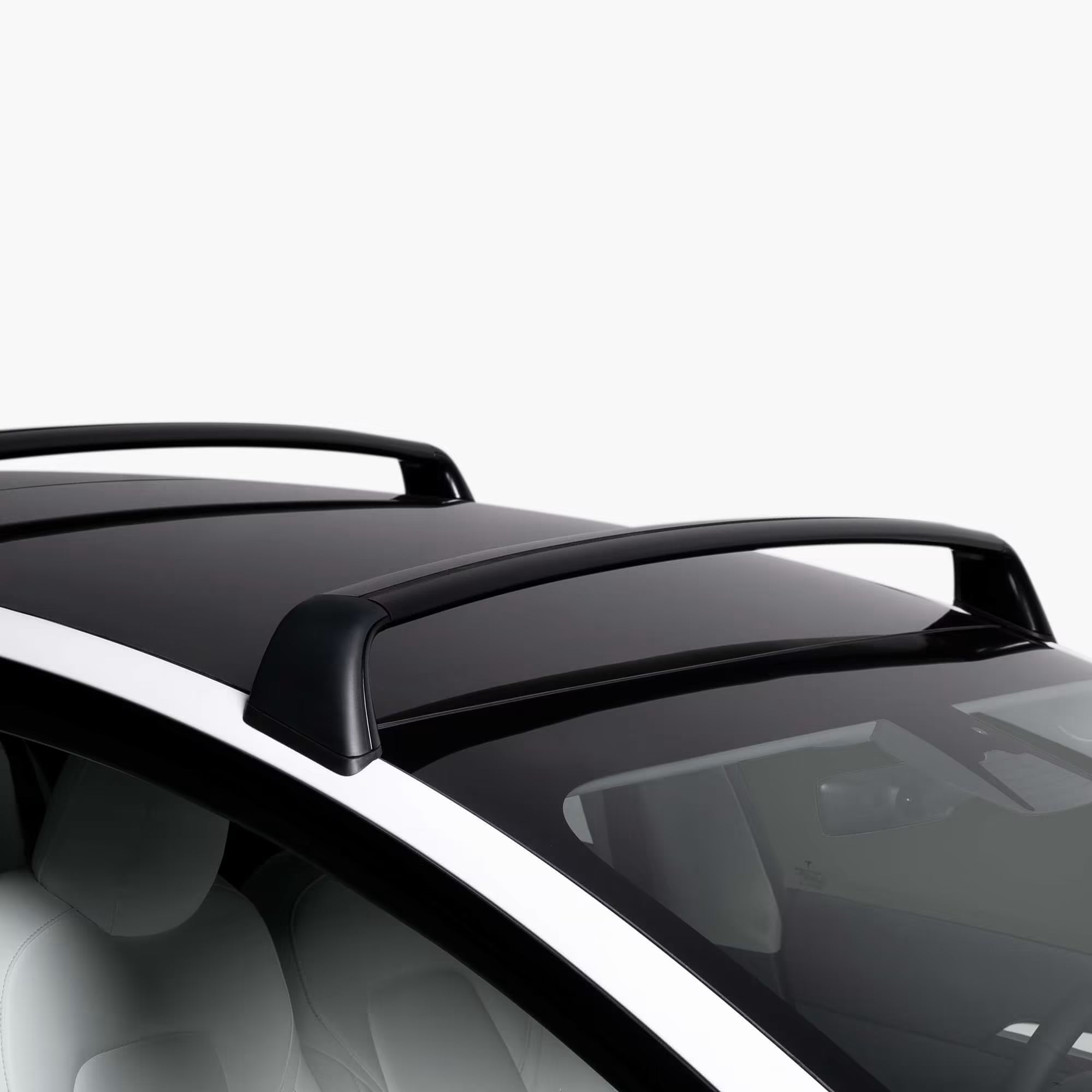 Model 3 Roof Rack