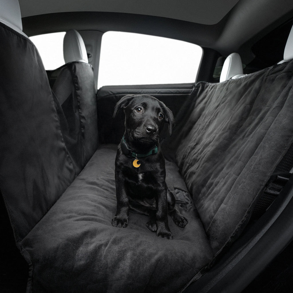 Model S/3/Y Pet Protective Cover