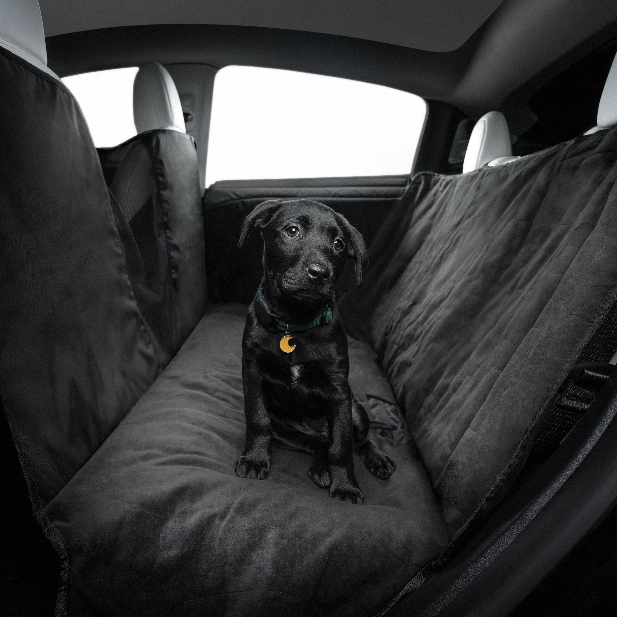 Model S/3/Y Pet Protective Cover