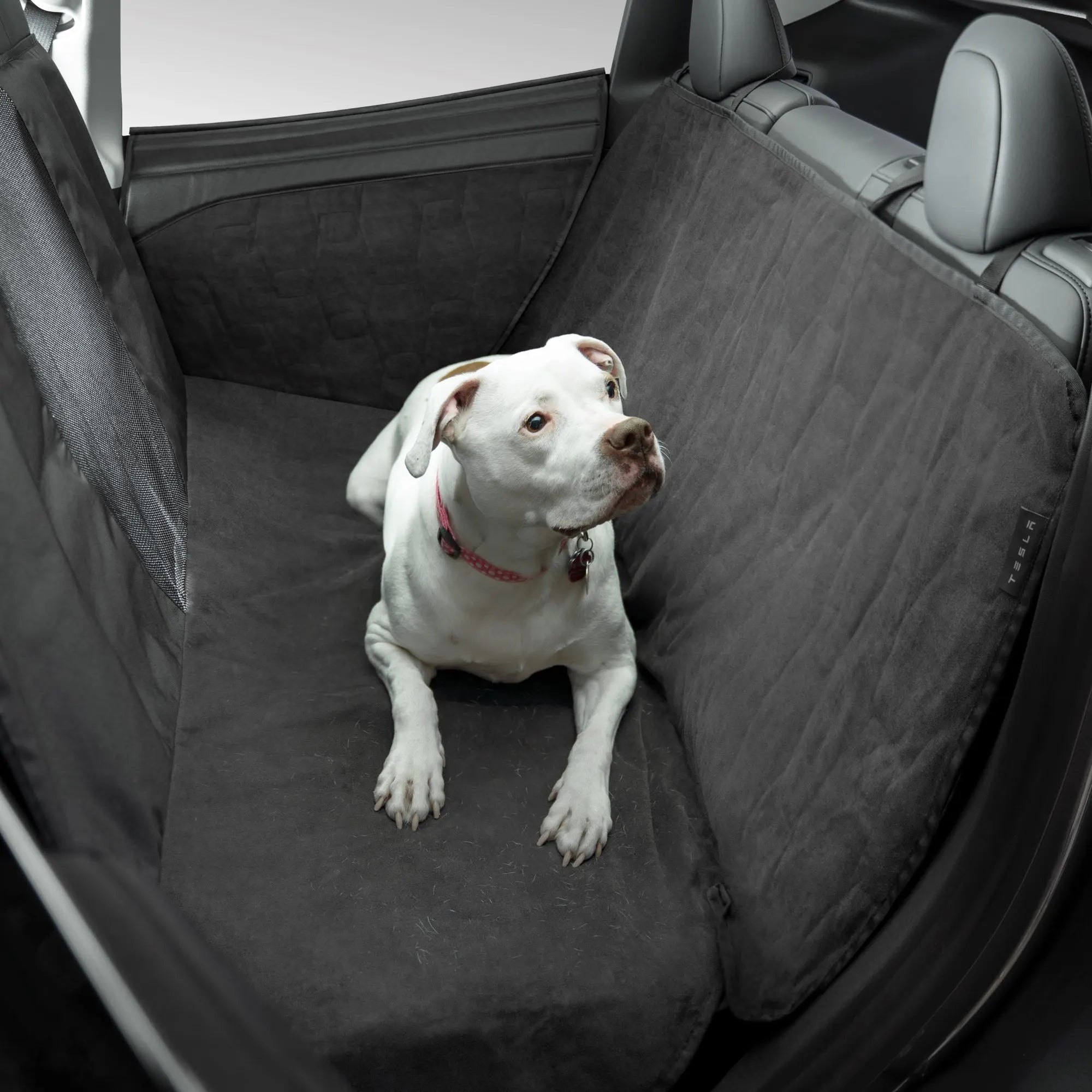 Model S/3/Y Pet Protective Cover