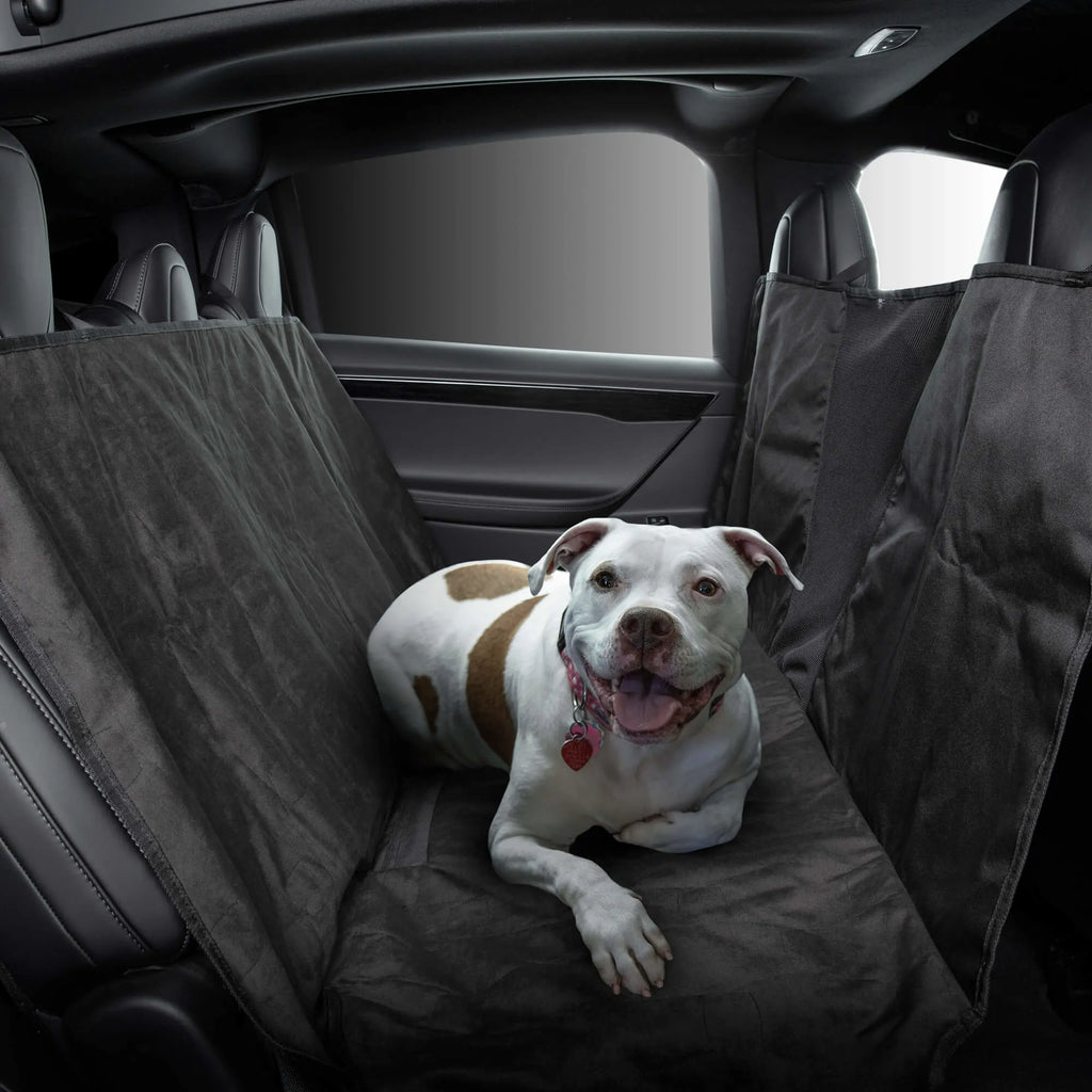 Model X Pet Liner