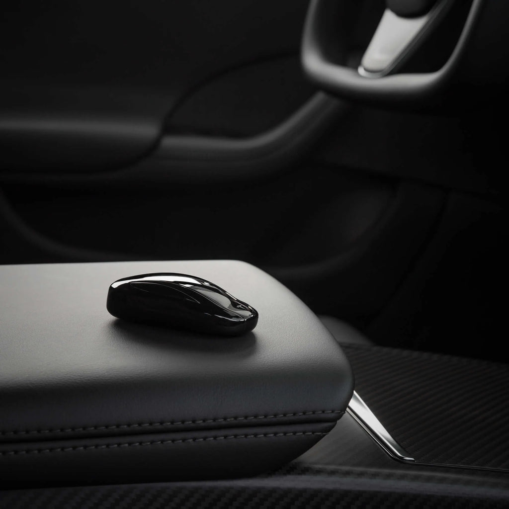 Model X Key Fob