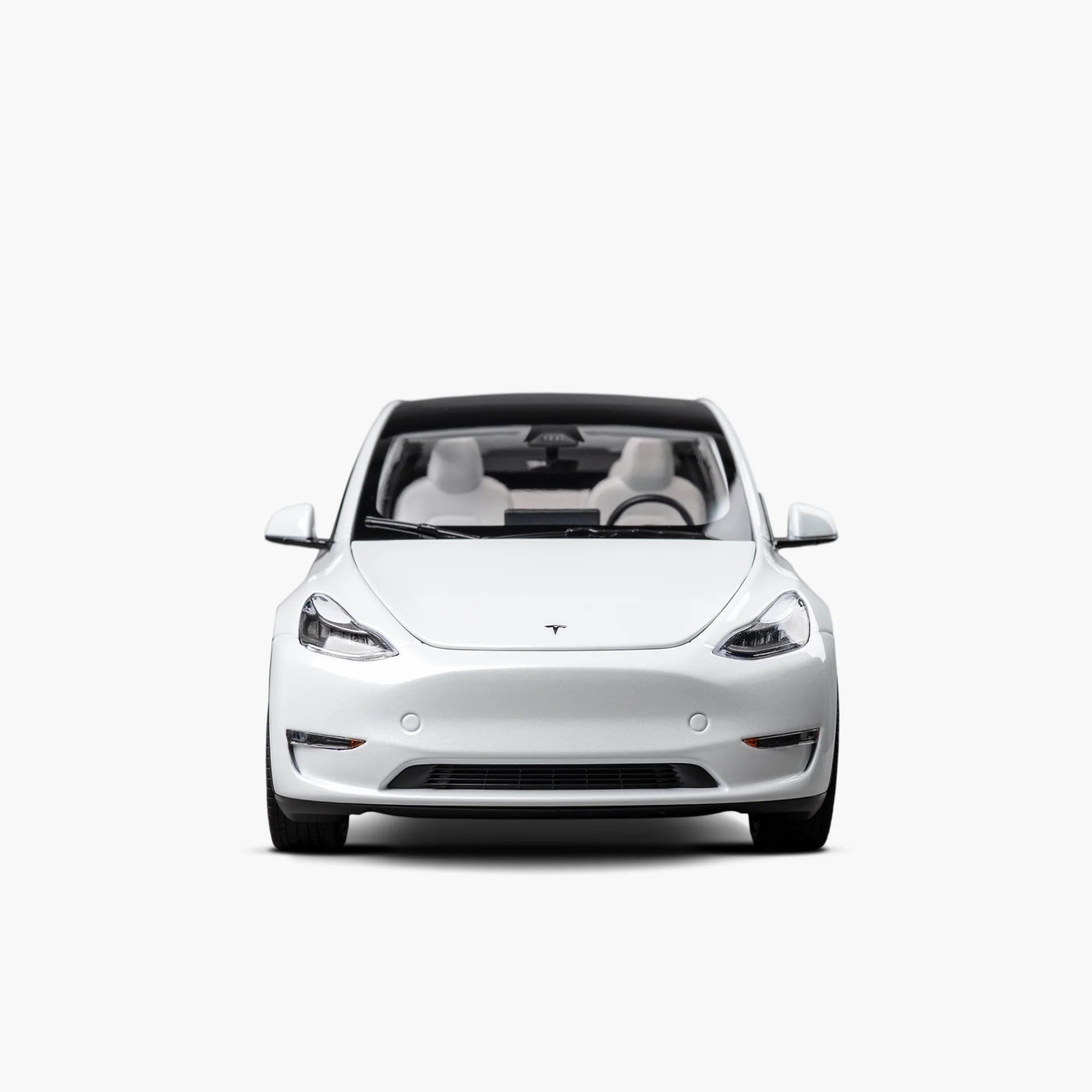 Diecast 1:18 Scale Model Y
