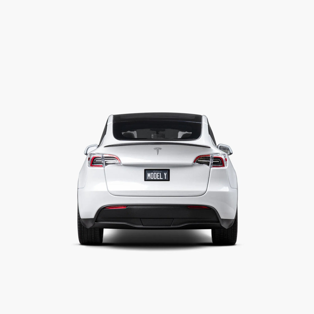 Diecast 1:18 Scale Model Y