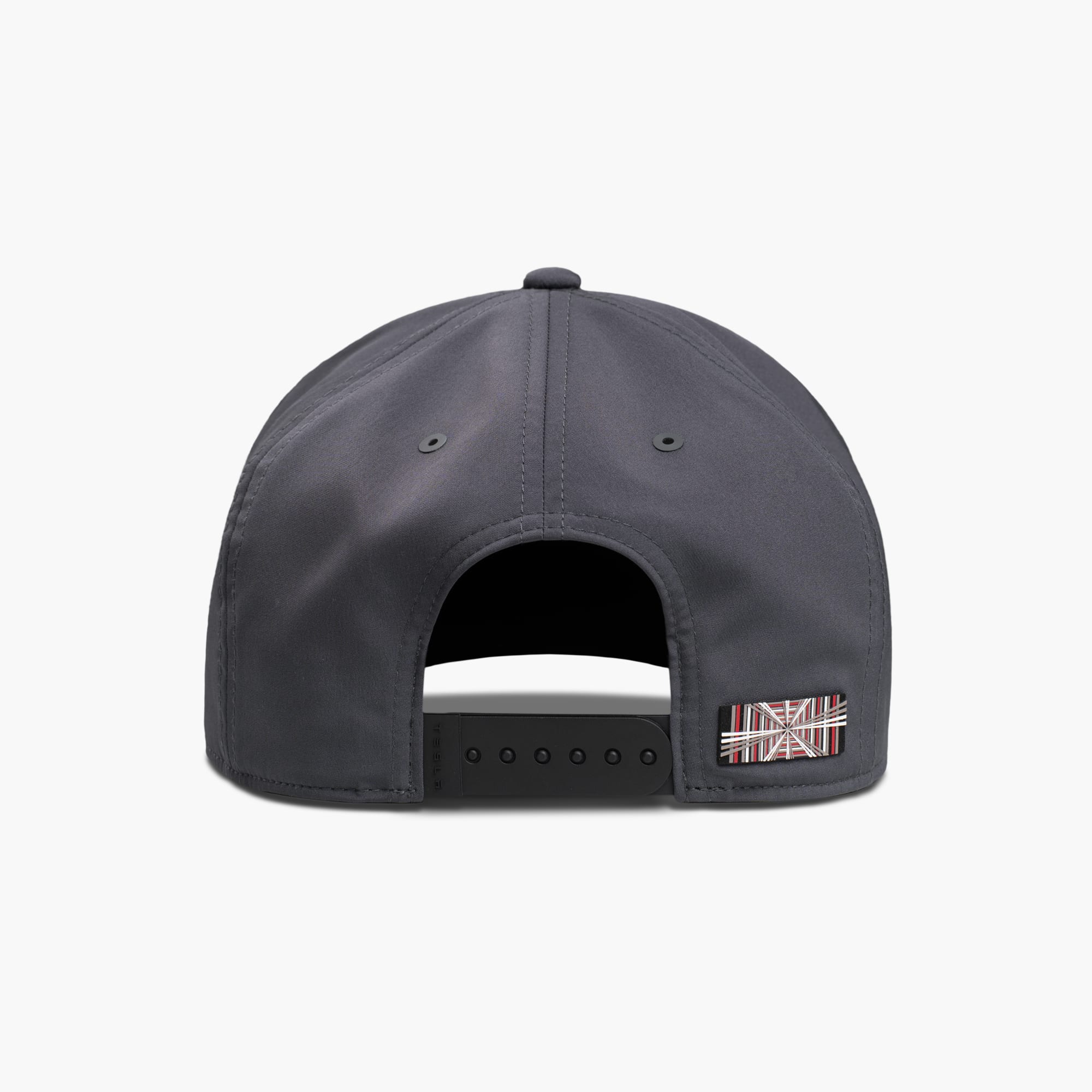 Model S/X Plaid Snapback Hat