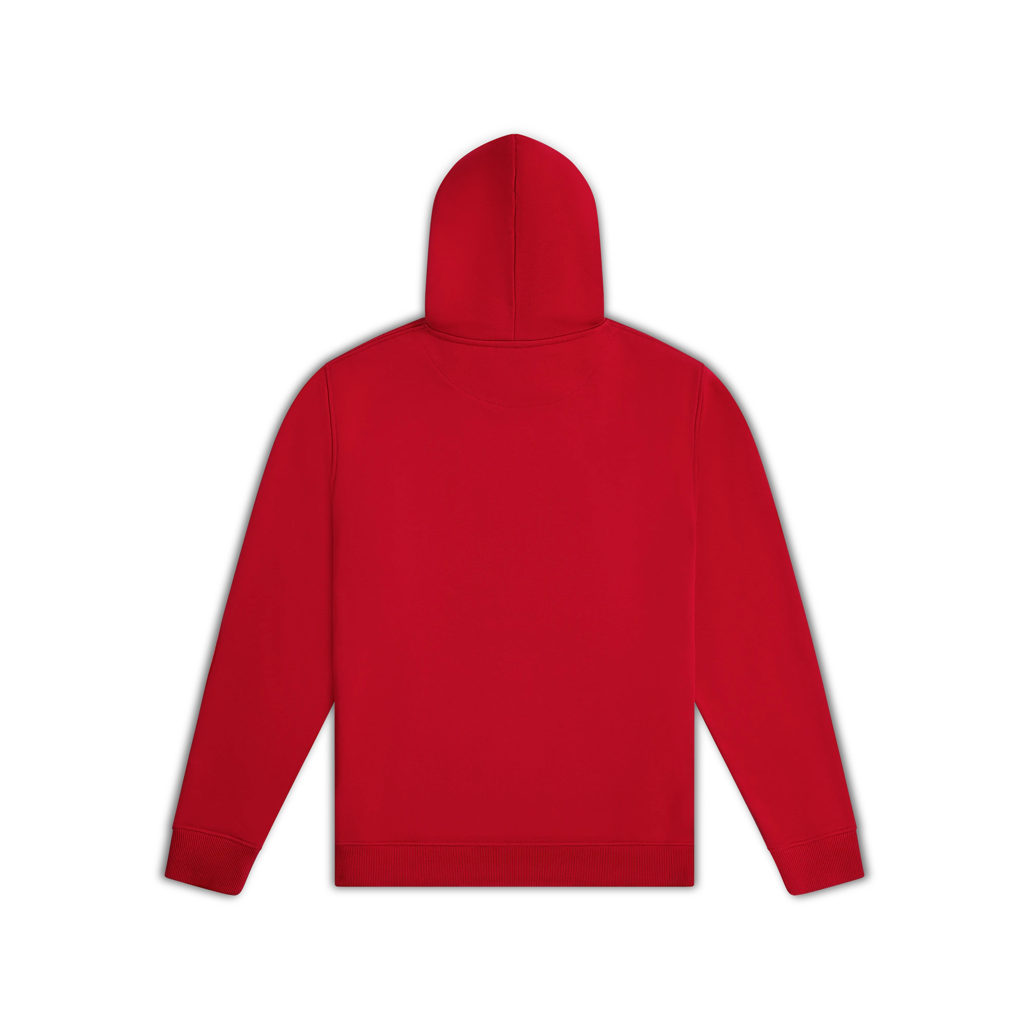 Model Y Performance Hoodie
